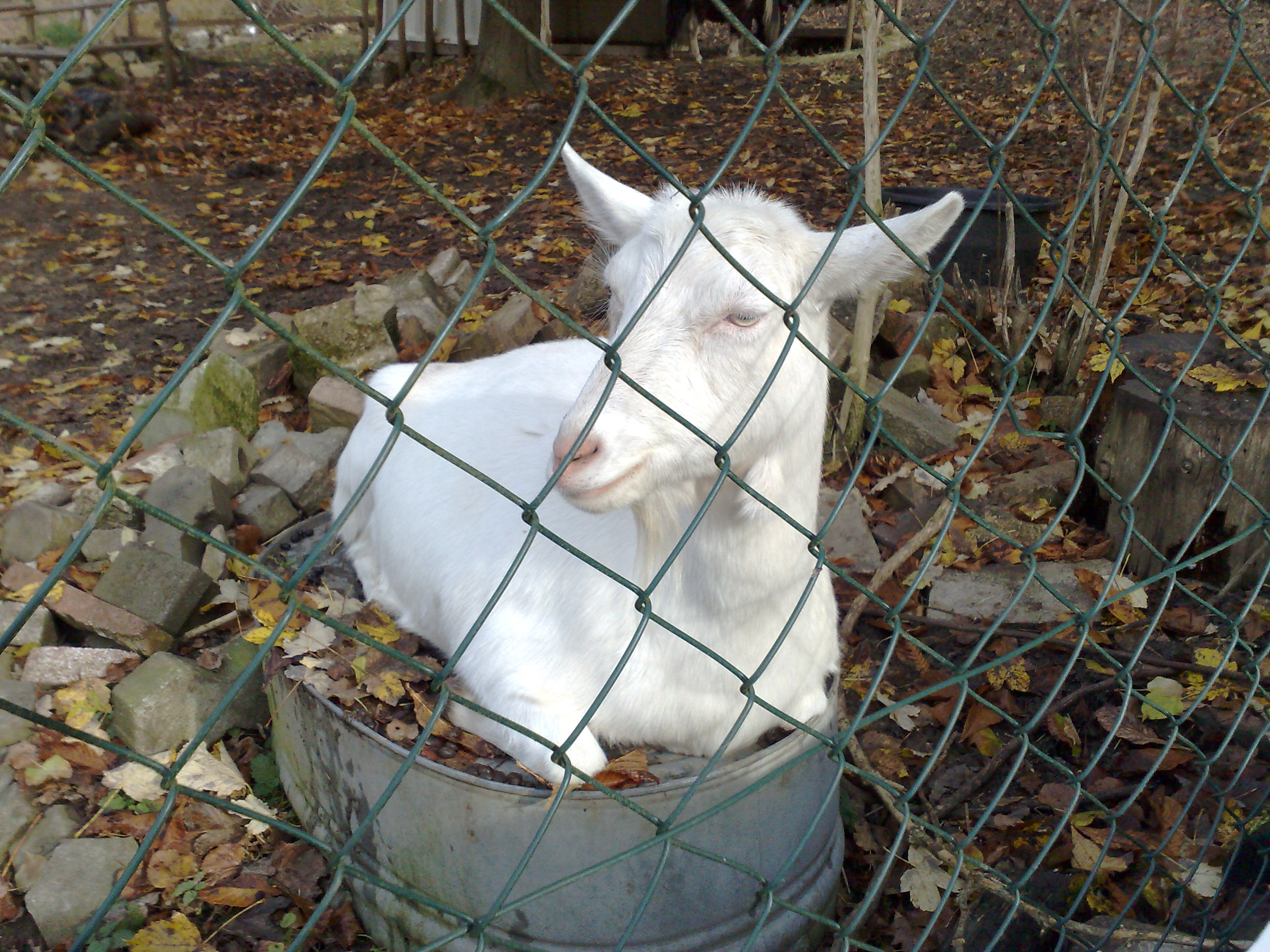 Test Bild :)